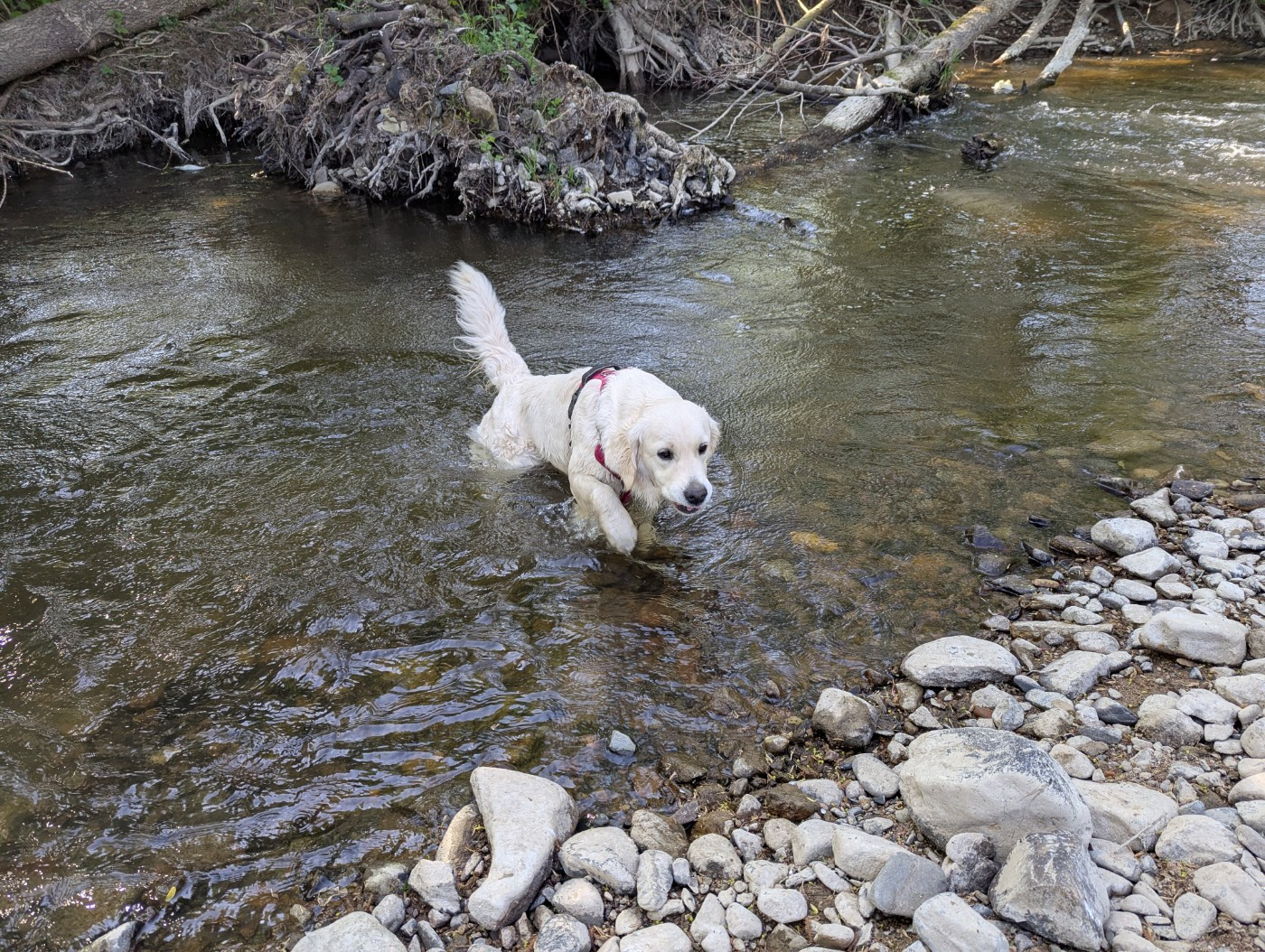 L'eau, quel bonheur
